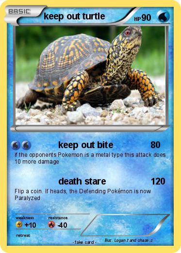 Pokemon keep out turtle