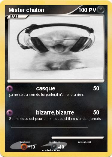 Pokemon Mister chaton