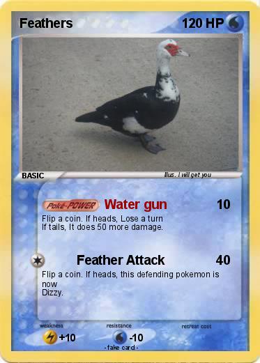 Pokemon Feathers