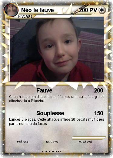 Pokemon Néo le fauve
