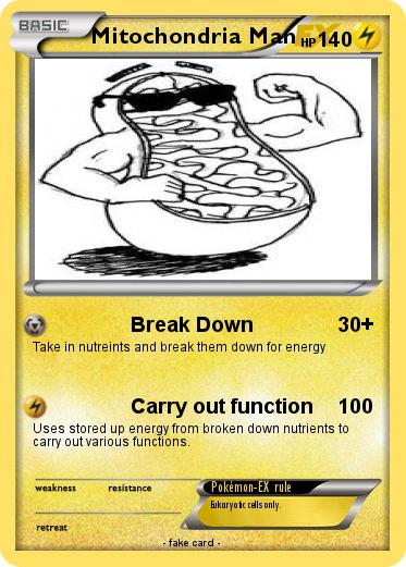 Pokemon Mitochondria Man