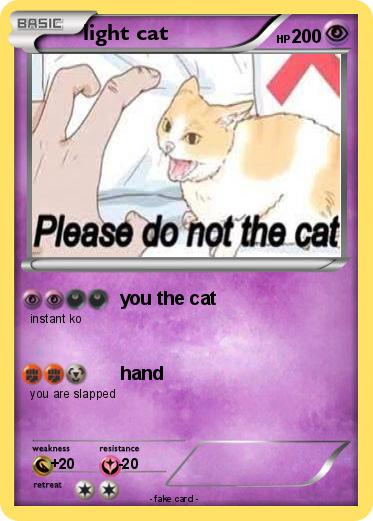 Pokemon light cat