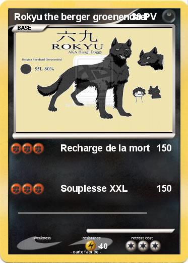 Pokemon Rokyu the berger groenendael