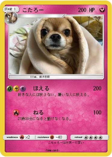 Pokemon こたろー