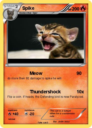 Pokemon Spike