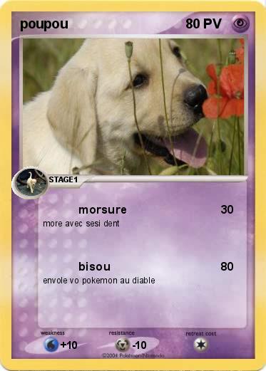 Pokemon poupou