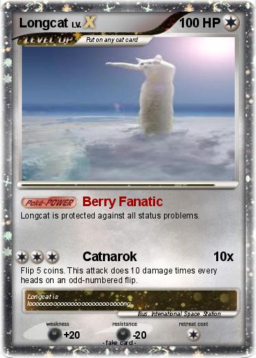 Pokemon Longcat
