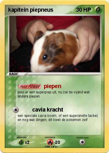 Pokemon kapitein piepneus