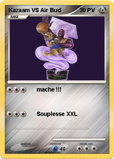 Pokemon Kazaam VS Air Bud