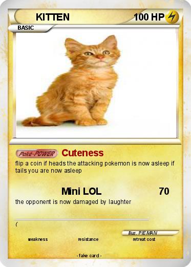 Pokemon KITTEN