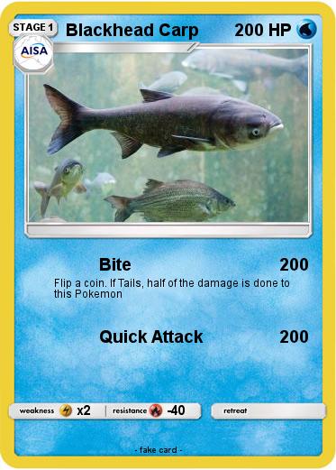 Pokemon Blackhead Carp