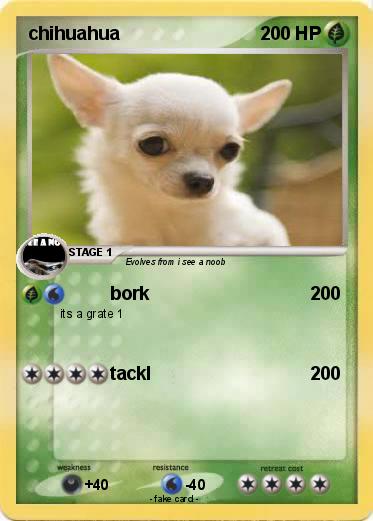 Pokemon chihuahua