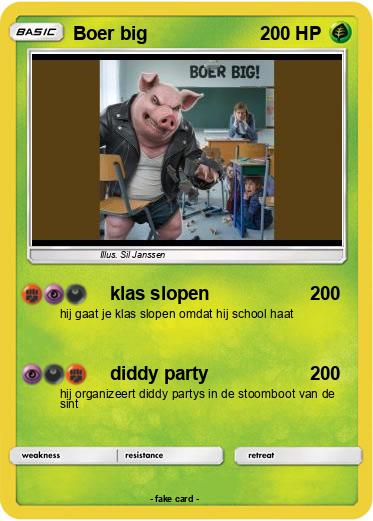 Pokemon Boer big