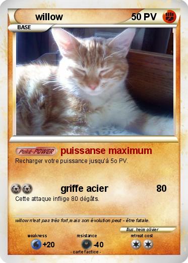 Pokemon willow