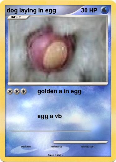 Pokemon dog laying in egg