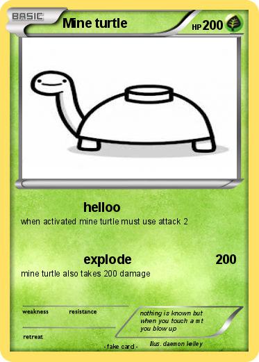 Pokemon Mine turtle