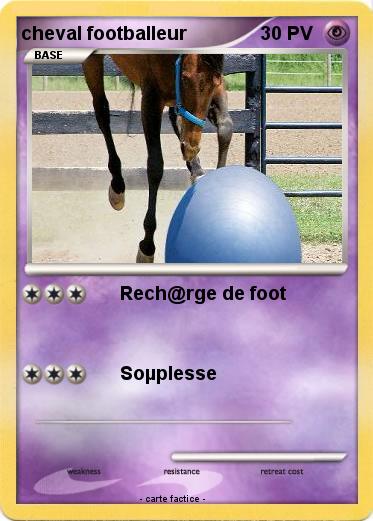 Pokemon cheval footballeur