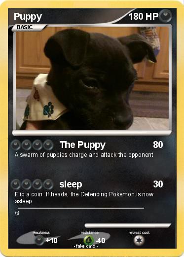 Pokemon Puppy