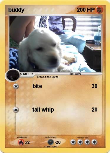 Pokemon buddy
