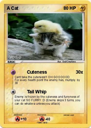 Pokemon A Cat