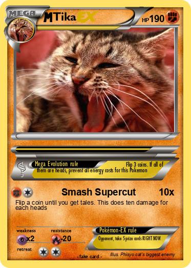 Pokemon Tika