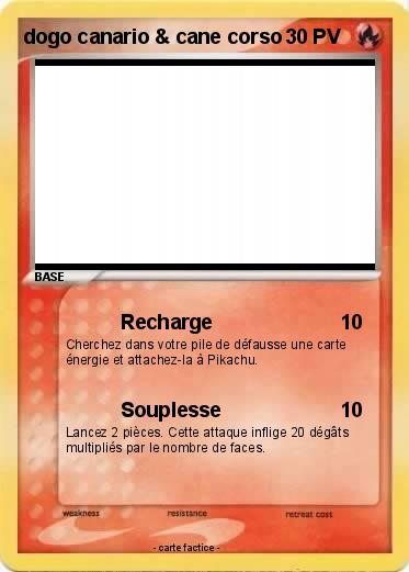 Pokemon dogo canario & cane corso