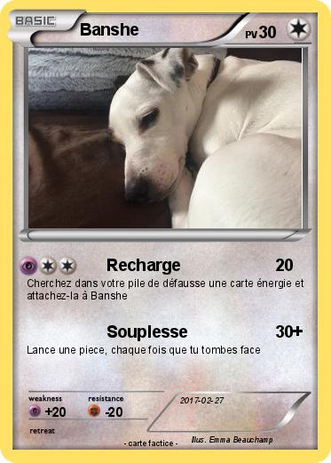 Pokemon Banshe