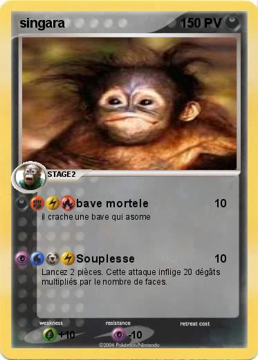 Pokemon singara 