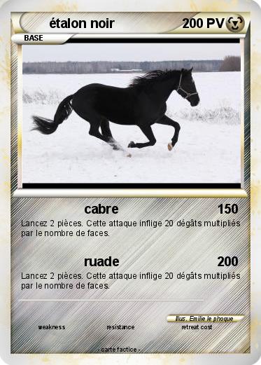 Pokemon étalon noir