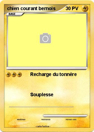 Pokemon chien courant bernois