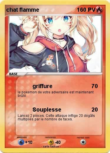 Pokemon chat flamme