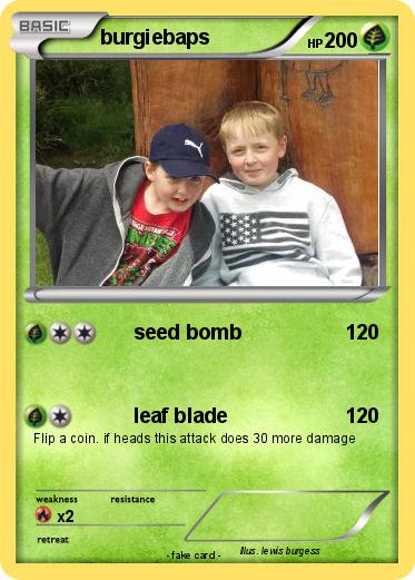 Pokemon burgiebaps
