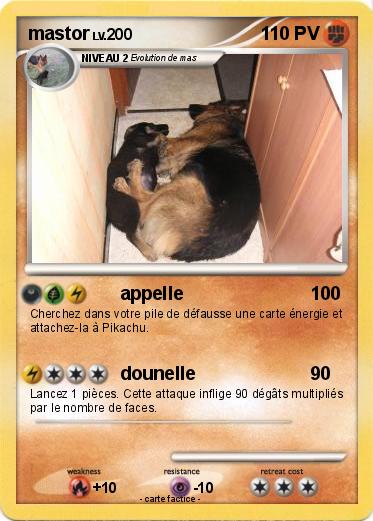 Pokemon mastor