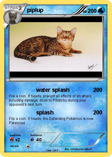 Pokemon piplup