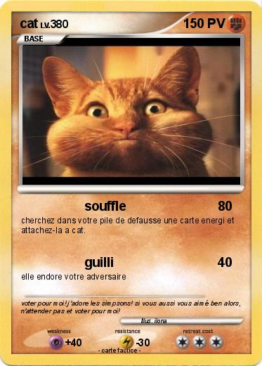 Pokemon cat