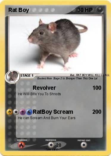 Pokemon Rat Boy