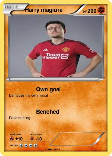 Pokemon Harry magiure