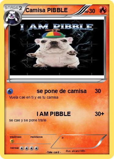 Pokemon Camisa PIBBLE