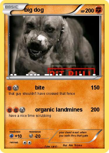 Pokemon big dog