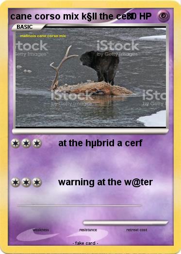 Pokemon cane corso mix k§ll the cerf