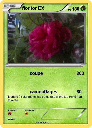 Pokemon floritor EX