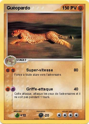 Pokemon Guéopardo