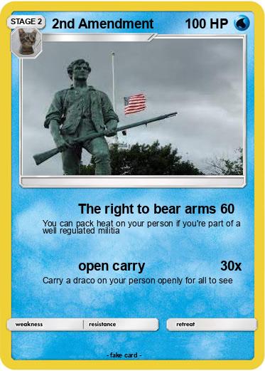 Pokemon 2nd Amendment