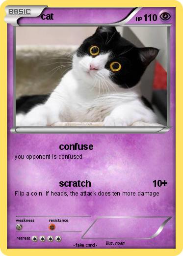 Pokemon cat