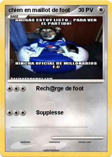 Pokemon chien en maillot de foot