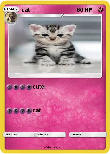 Pokemon cat