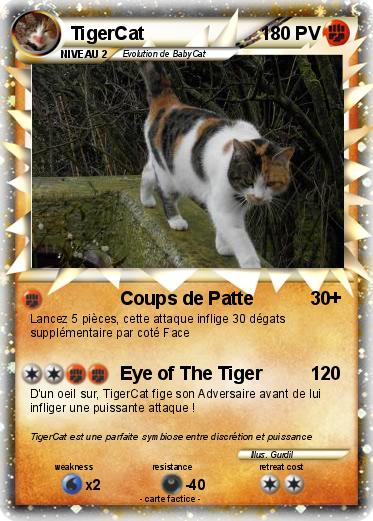 Pokemon TigerCat