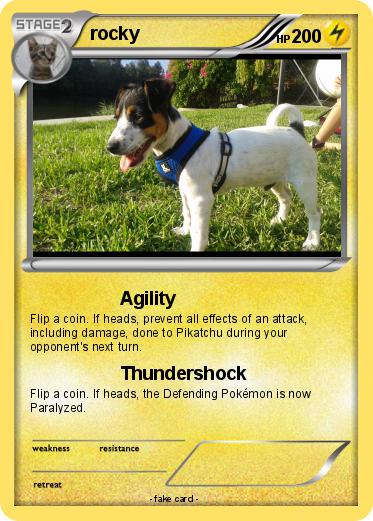 Pokemon rocky