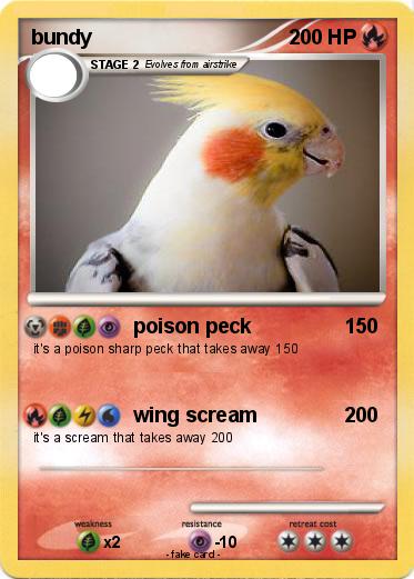 Pokemon bundy