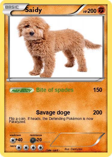Pokemon Saidy